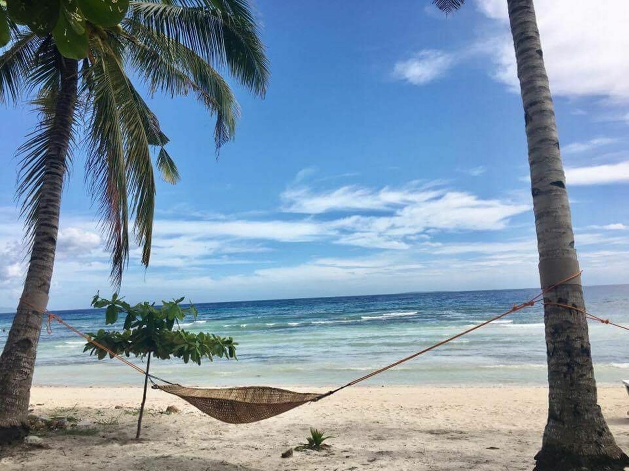 The Whitehouse By The Sea Villa Đảo Đảo Panglao Ngoại thất bức ảnh